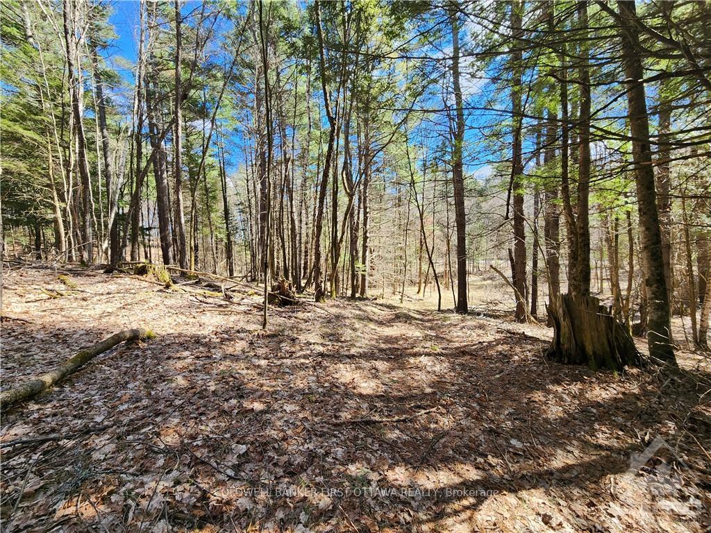 Photo 14 of 1004 Lavant Mill Road, Lanark Highlands, Lanark Highlands (Dalhousie) Twp — HOMEH