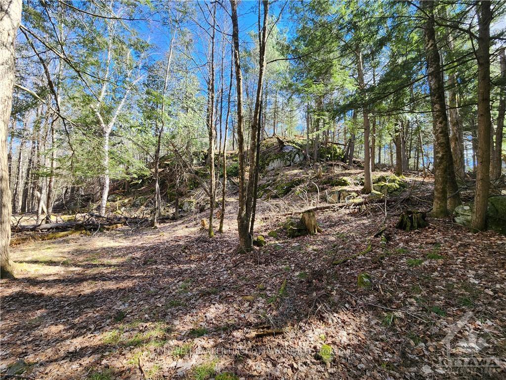 Photo 15 of 1004 Lavant Mill Road, Lanark Highlands, Lanark Highlands (Dalhousie) Twp — HOMEH