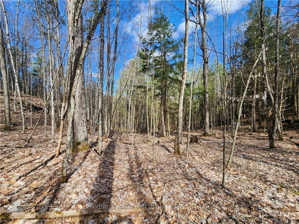 Photo 16 of 1004 Lavant Mill Road, Lanark Highlands, Lanark Highlands (Dalhousie) Twp — HOMEH