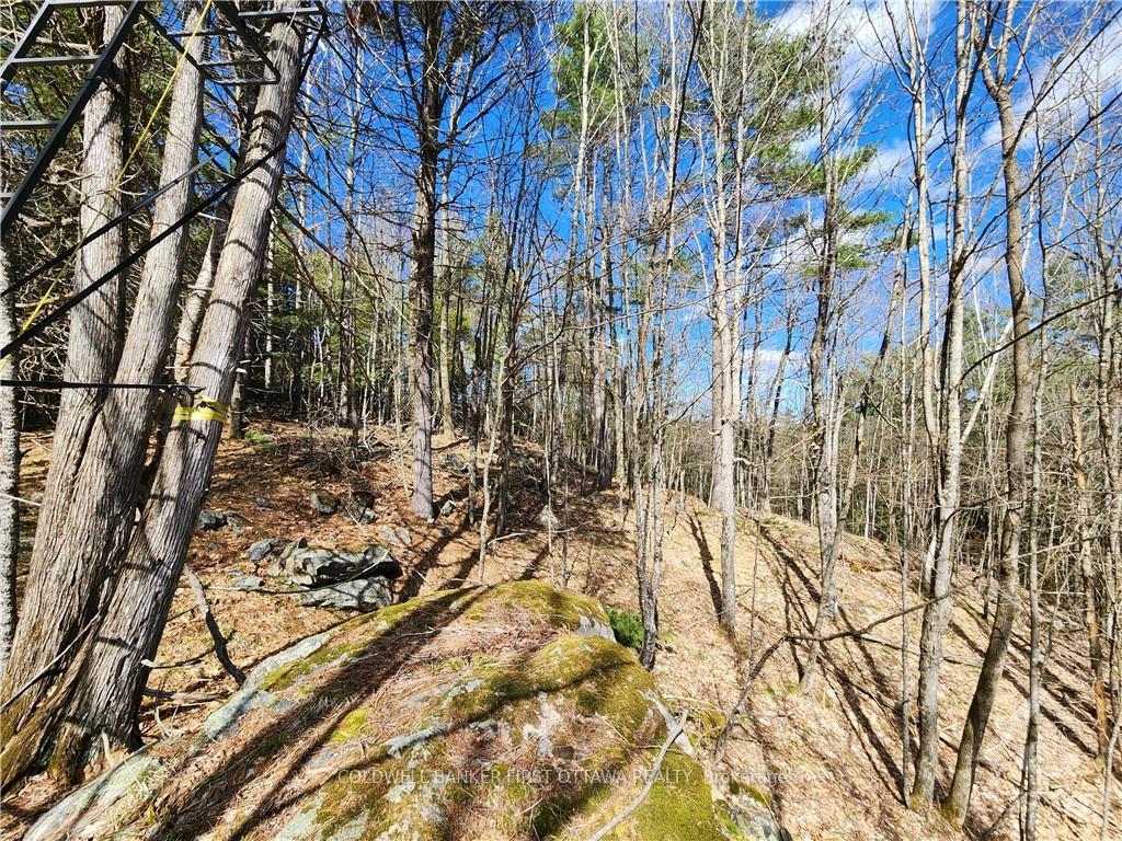 Photo 17 of 1004 Lavant Mill Road, Lanark Highlands, Lanark Highlands (Dalhousie) Twp — HOMEH