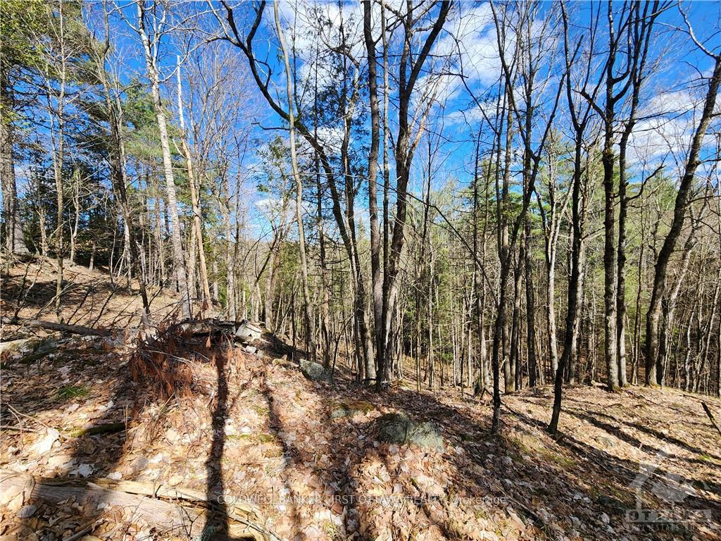 Photo 18 of 1004 Lavant Mill Road, Lanark Highlands, Lanark Highlands (Dalhousie) Twp — HOMEH