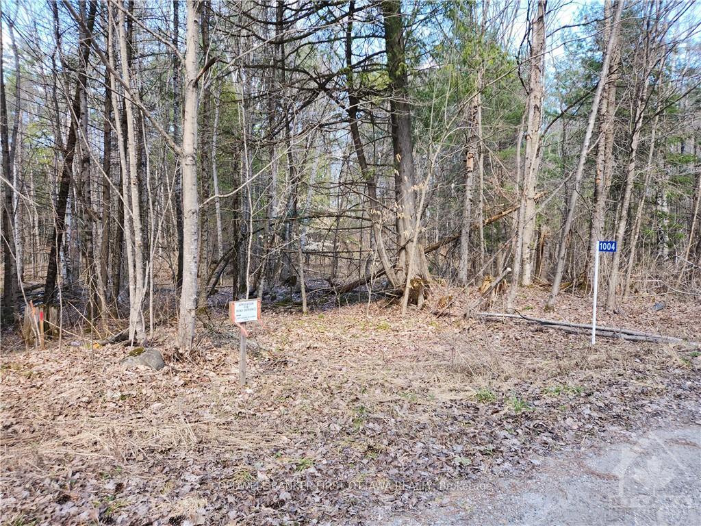 Photo 19 of 1004 Lavant Mill Road, Lanark Highlands, Lanark Highlands (Dalhousie) Twp — HOMEH