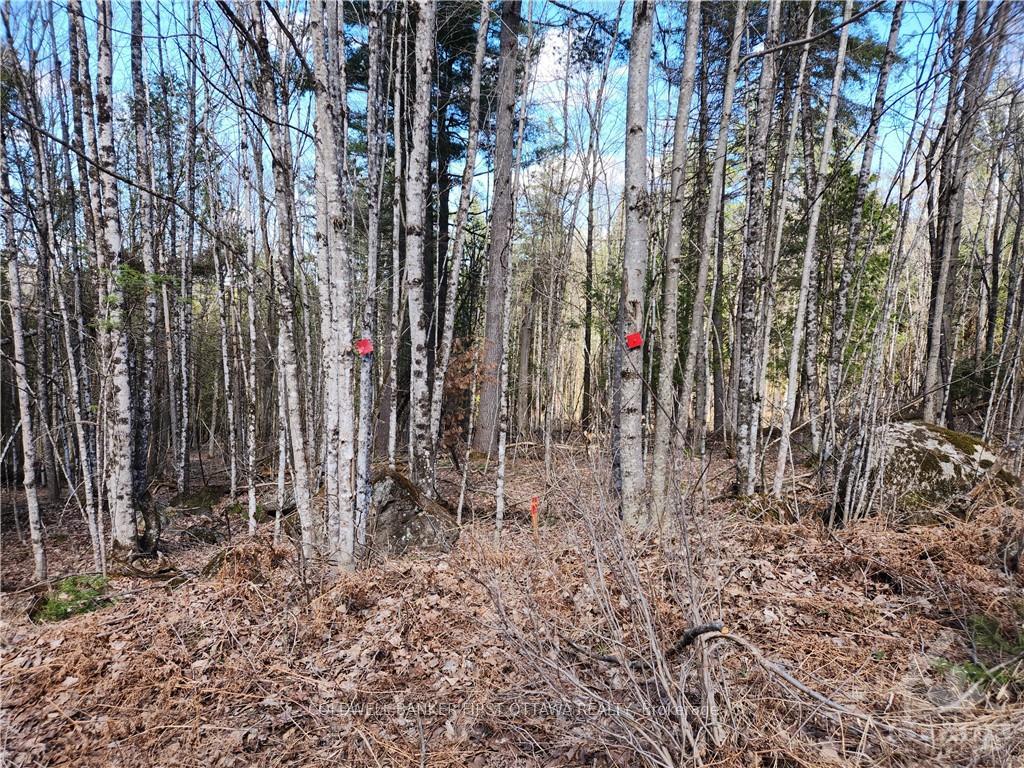 Photo 20 of 1004 Lavant Mill Road, Lanark Highlands, Lanark Highlands (Dalhousie) Twp — HOMEH