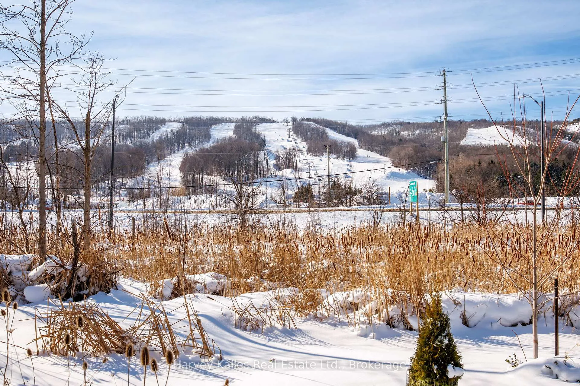 Photo 34 of 236 Yellow Birch Crescent, Blue Mountains — HOMEH