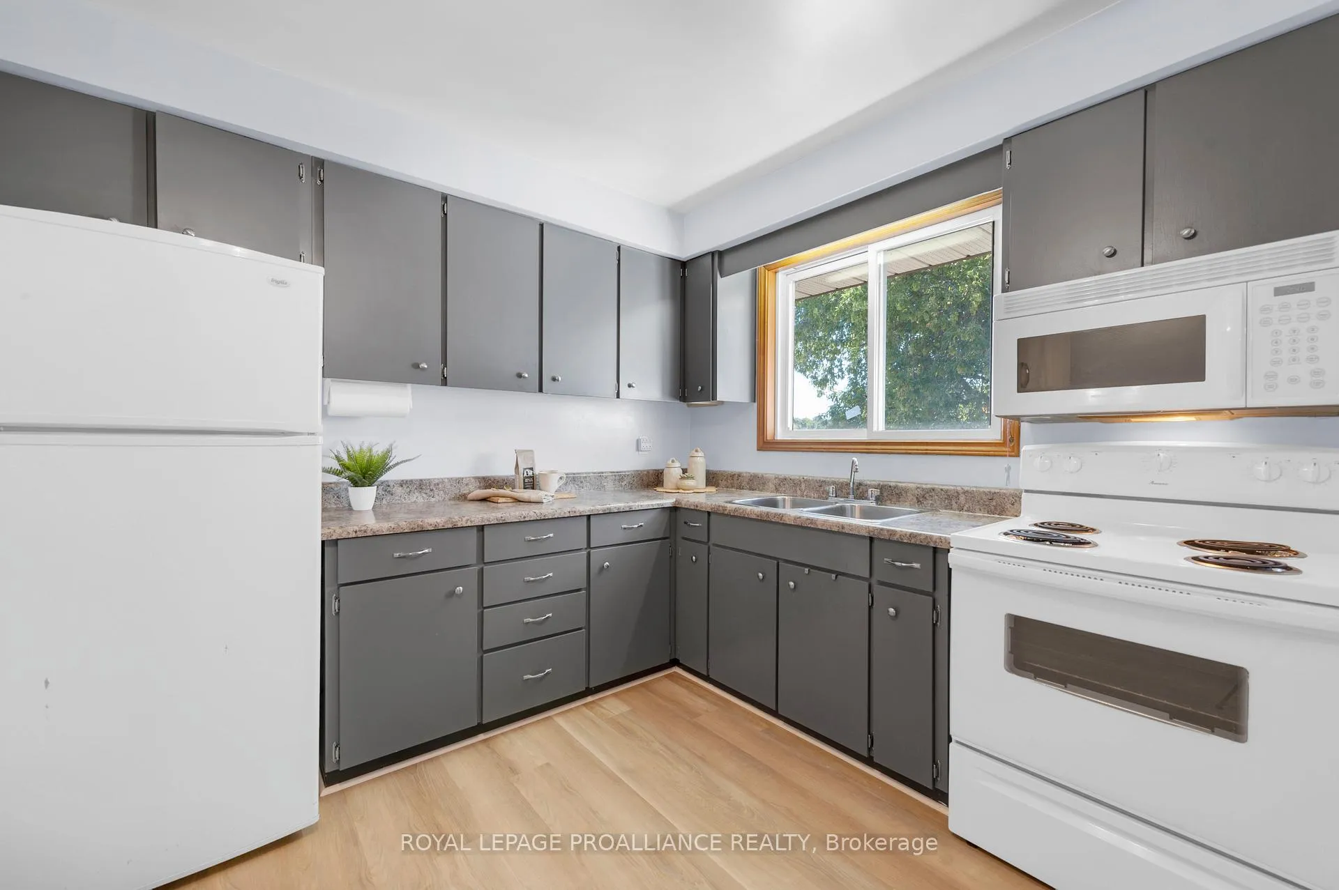 Photo 16 of 122 Lisgar Street, Brighton — HOMEH