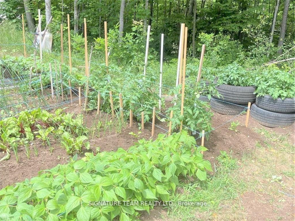 Photo 26 of 1555 Whitton Road, Horton, Horton Twp — HOMEH