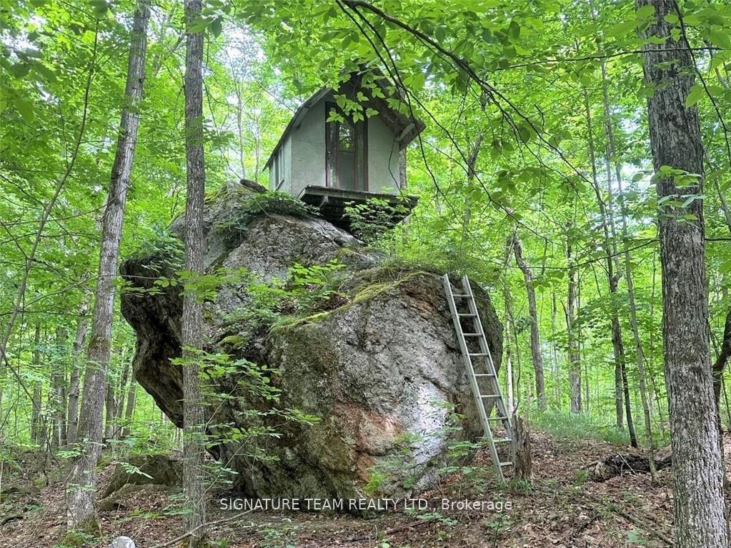 Photo 27 of 1555 Whitton Road, Horton, Horton Twp — HOMEH