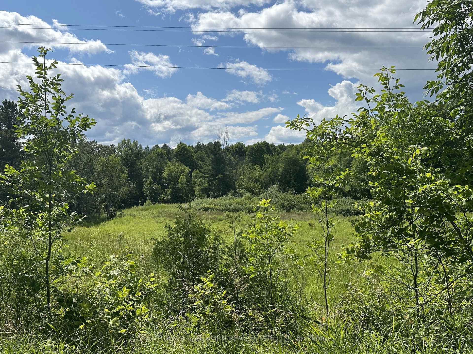 Photo 1 of Scotch Settlement Road N, Madoc — HOMEH
