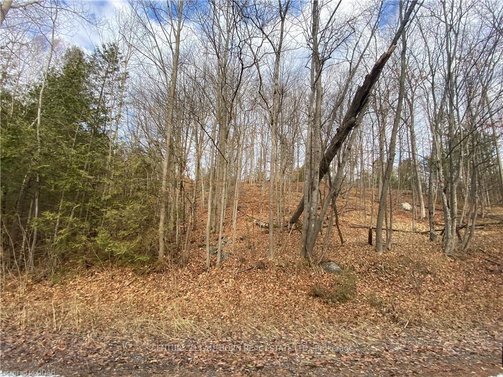 Photo 4 of Scotch Settlement Road N, Madoc — HOMEH