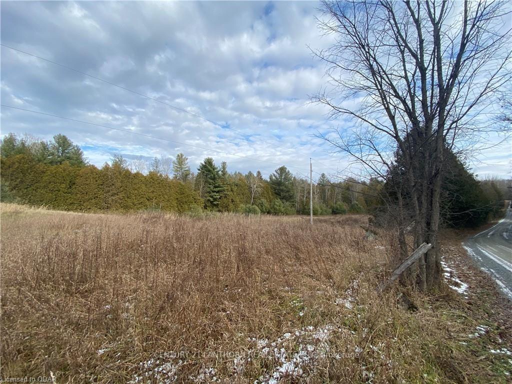 Photo 5 of Scotch Settlement Road N, Madoc — HOMEH