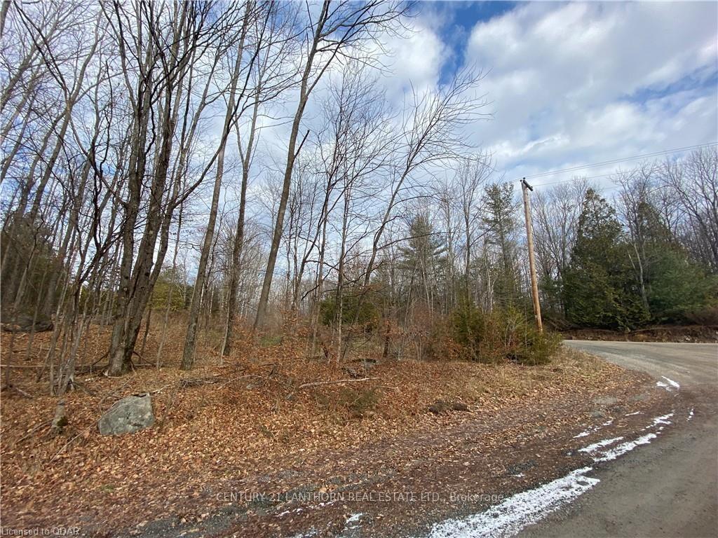 Photo 7 of Scotch Settlement Road N, Madoc — HOMEH
