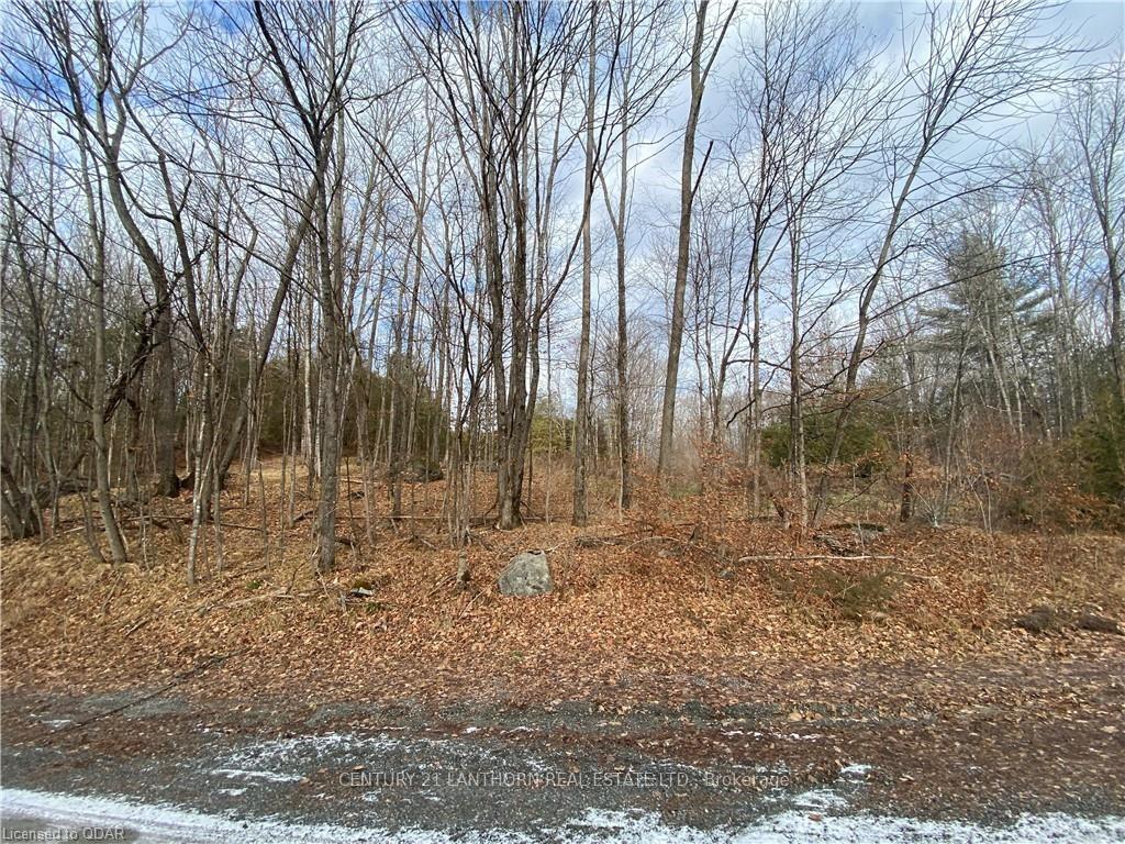 Photo 8 of Scotch Settlement Road N, Madoc — HOMEH