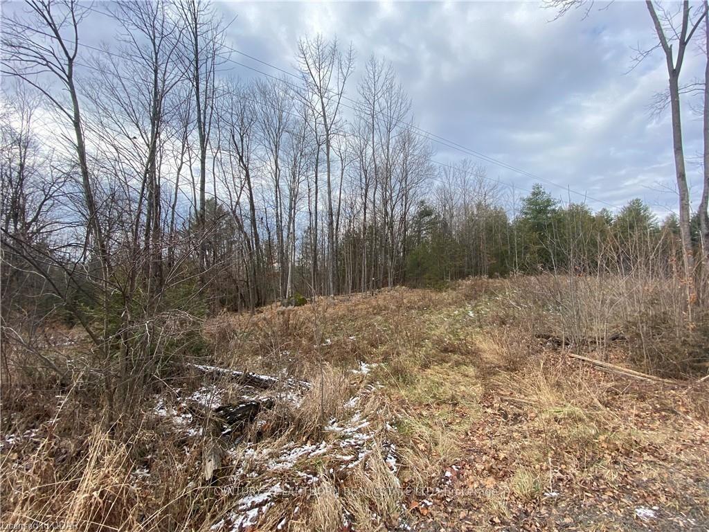 Photo 10 of Scotch Settlement Road N, Madoc — HOMEH