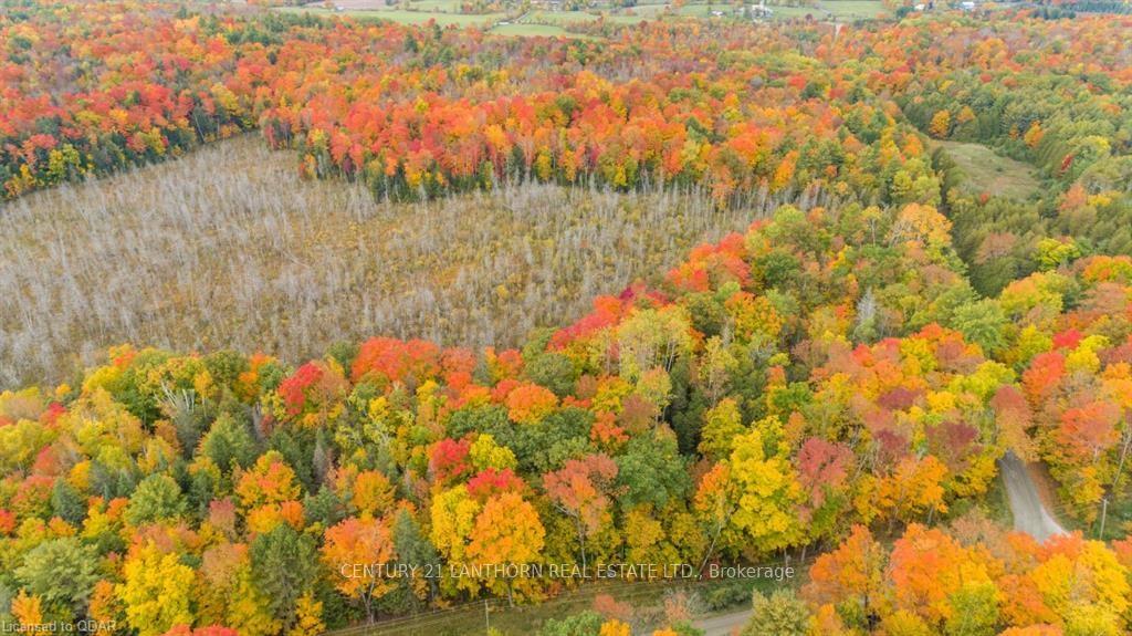 Photo 12 of Scotch Settlement Road N, Madoc — HOMEH