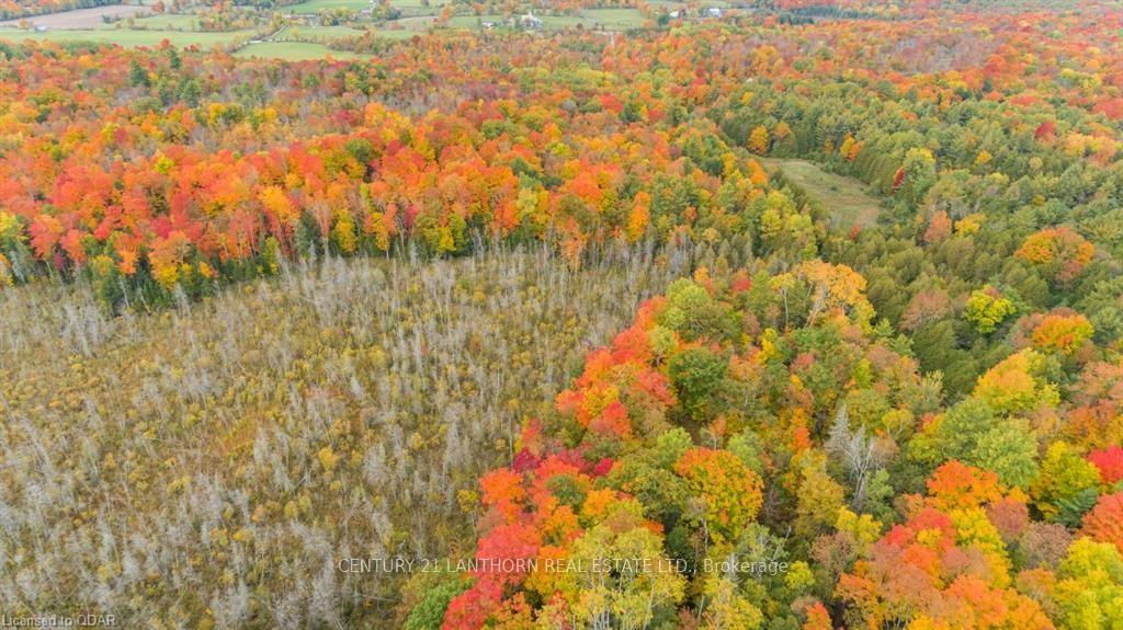 Photo 15 of Scotch Settlement Road N, Madoc — HOMEH