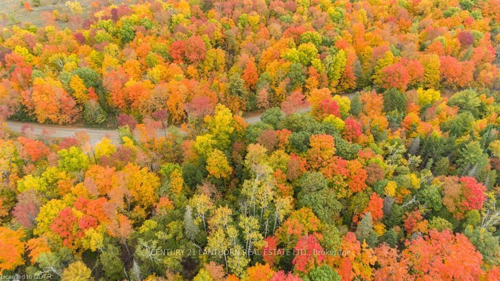 Photo 16 of Scotch Settlement Road N, Madoc — HOMEH