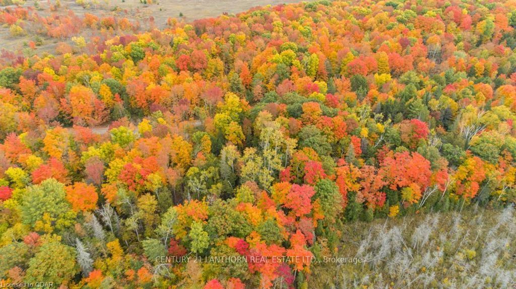 Photo 17 of Scotch Settlement Road N, Madoc — HOMEH