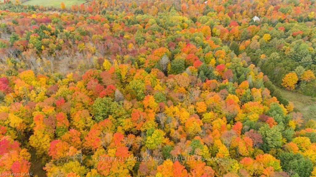 Photo 18 of Scotch Settlement Road N, Madoc — HOMEH