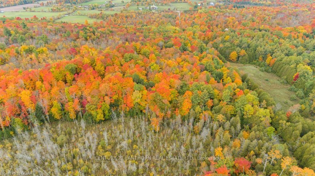 Photo 19 of Scotch Settlement Road N, Madoc — HOMEH