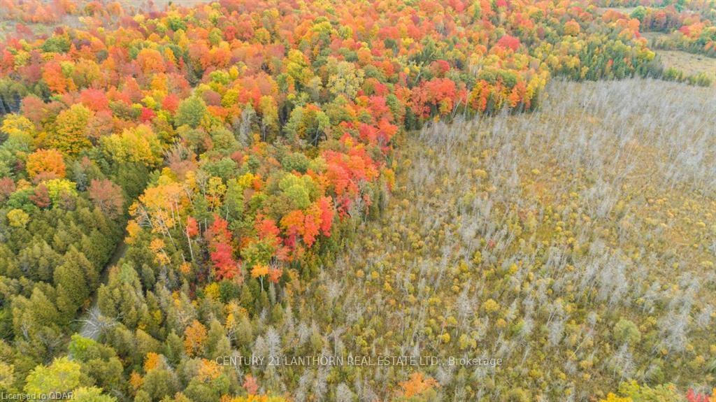 Photo 20 of Scotch Settlement Road N, Madoc — HOMEH
