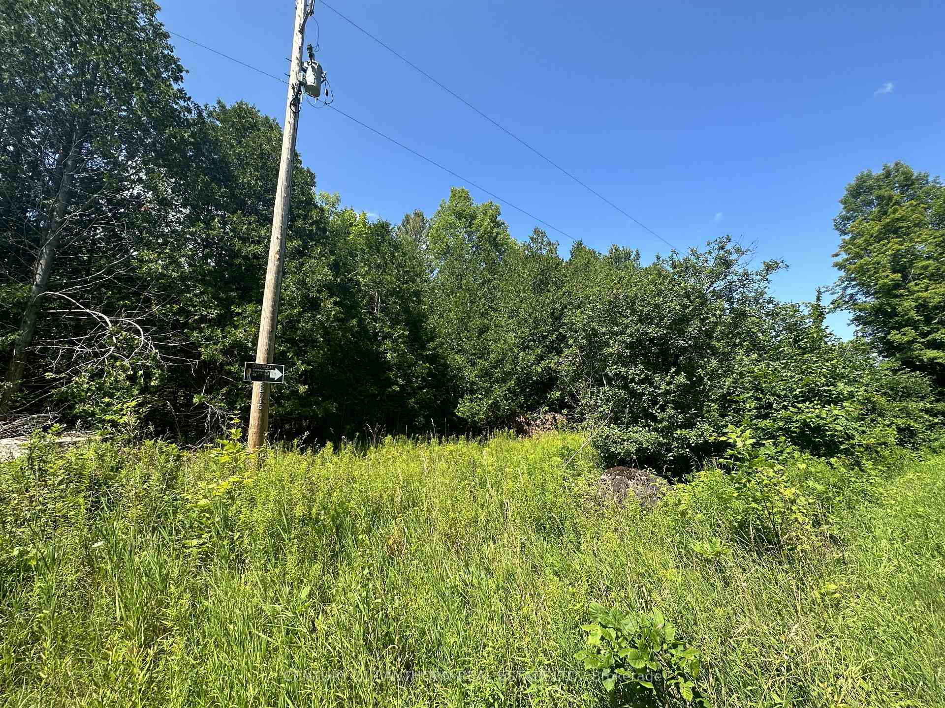Photo 24 of Scotch Settlement Road N, Madoc — HOMEH