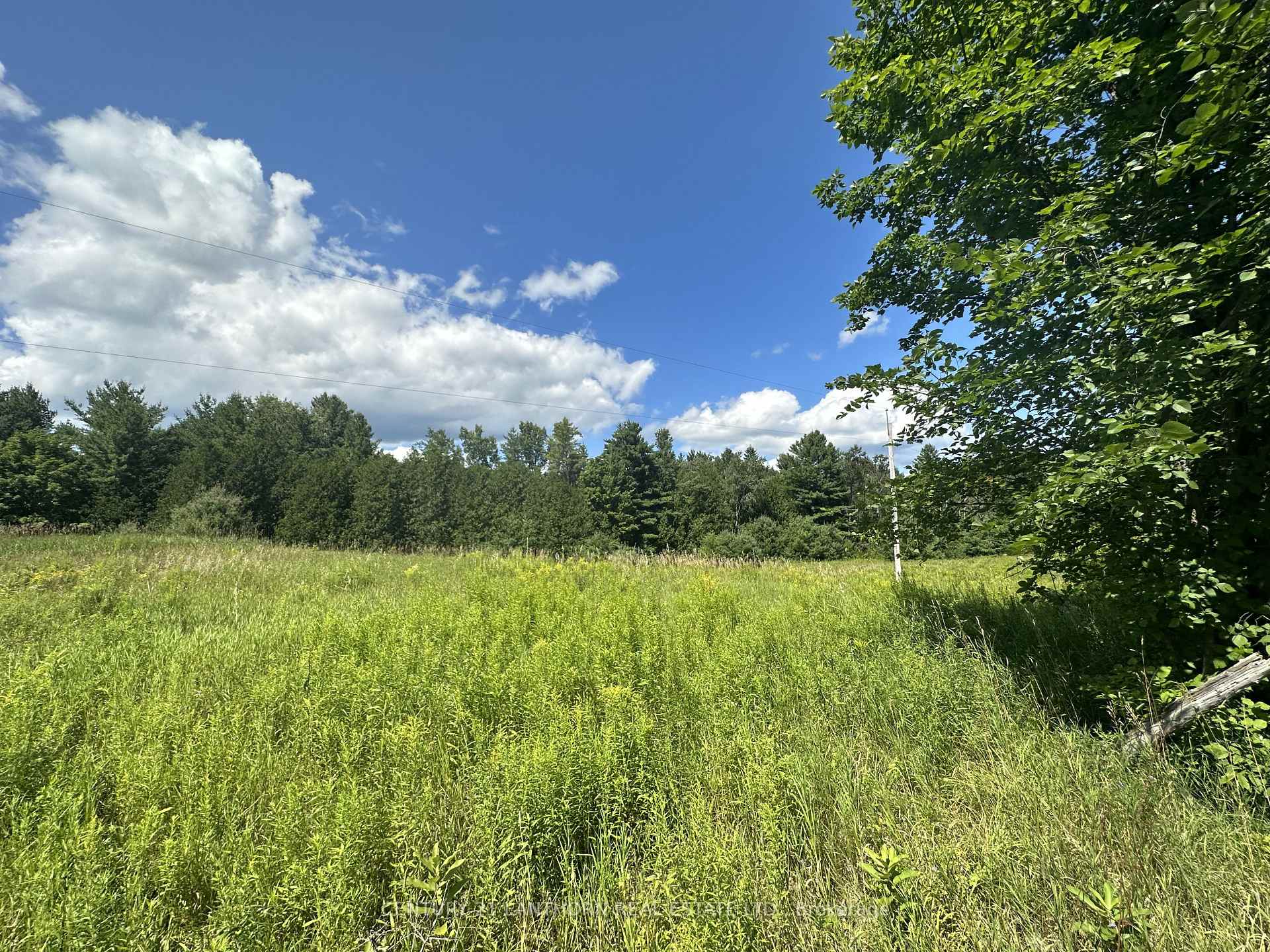 Photo 25 of Scotch Settlement Road N, Madoc — HOMEH