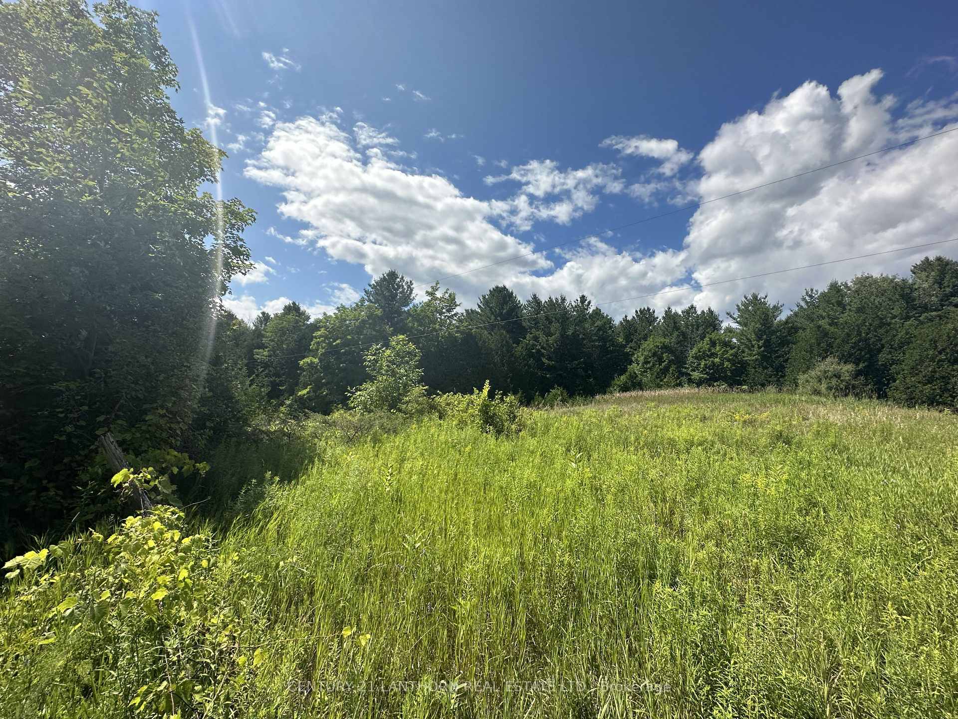 Photo 26 of Scotch Settlement Road N, Madoc — HOMEH