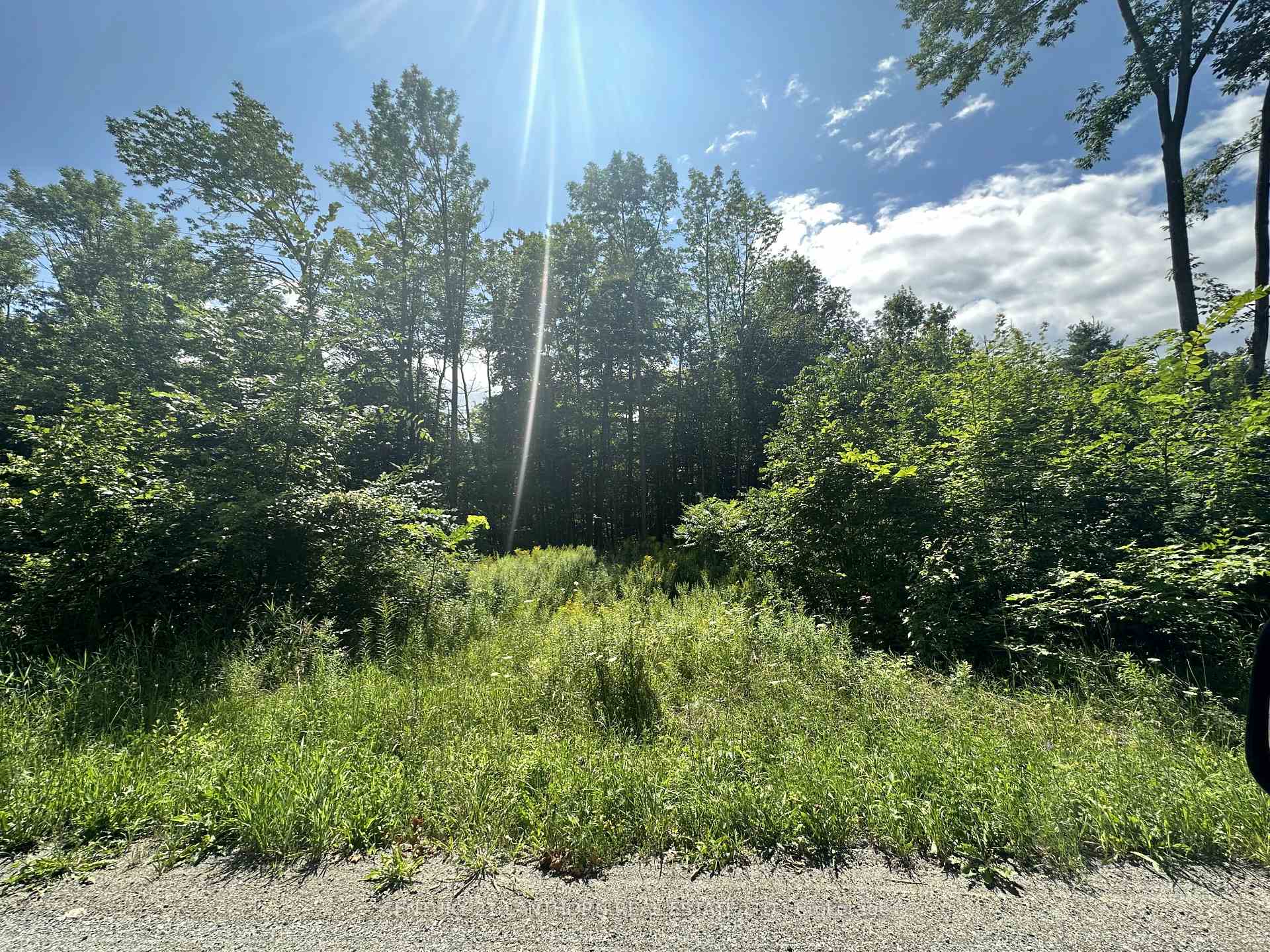 Photo 27 of Scotch Settlement Road N, Madoc — HOMEH