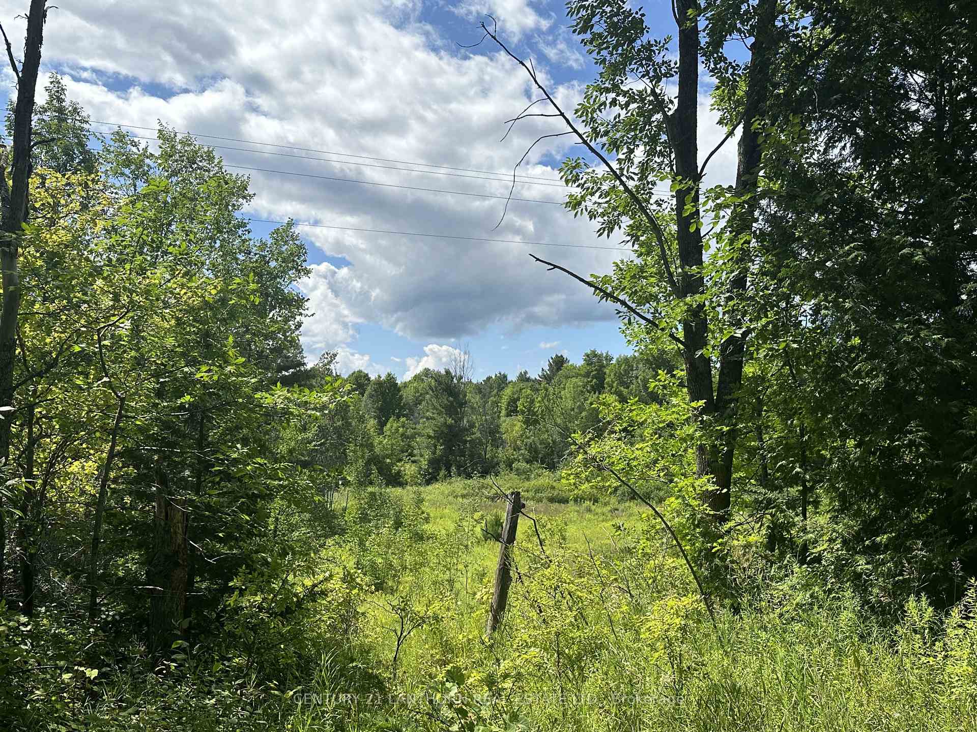 Photo 28 of Scotch Settlement Road N, Madoc — HOMEH