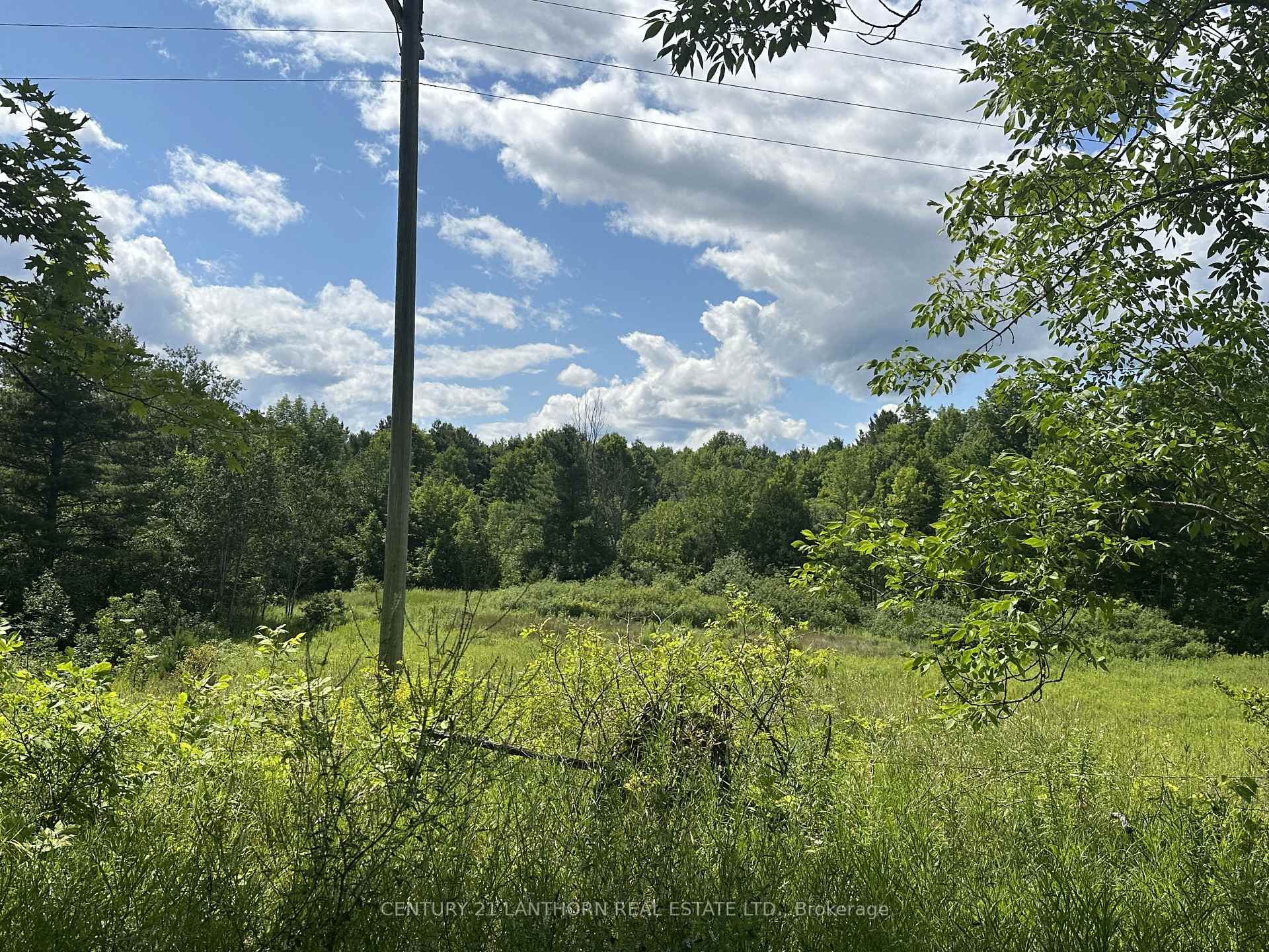 Photo 29 of Scotch Settlement Road N, Madoc — HOMEH