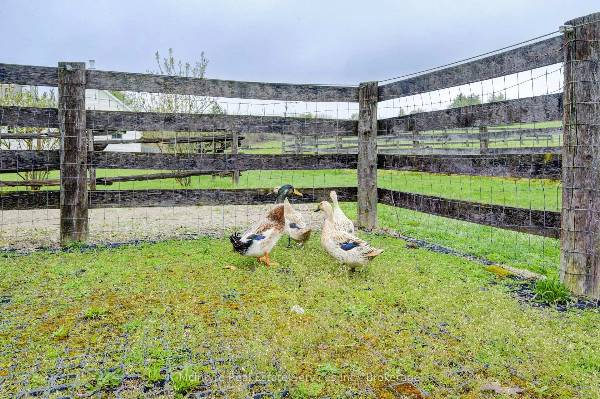 Photo 26 of 234 14th Concession Road E, Hamilton, Rural Flamborough — HOMEH