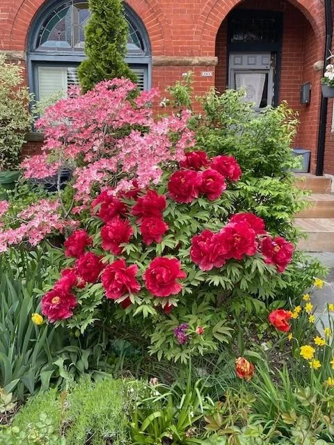 Photo 30 of 262 Concord Avenue, Toronto, Palmerston-Little Italy — HOMEH
