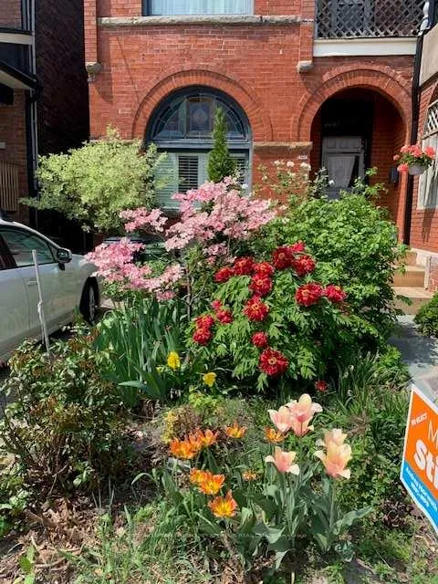 Photo 31 of 262 Concord Avenue, Toronto, Palmerston-Little Italy — HOMEH