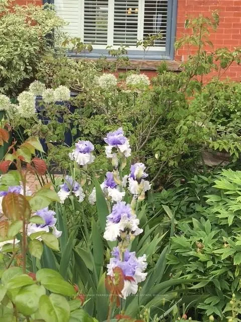 Photo 32 of 262 Concord Avenue, Toronto, Palmerston-Little Italy — HOMEH