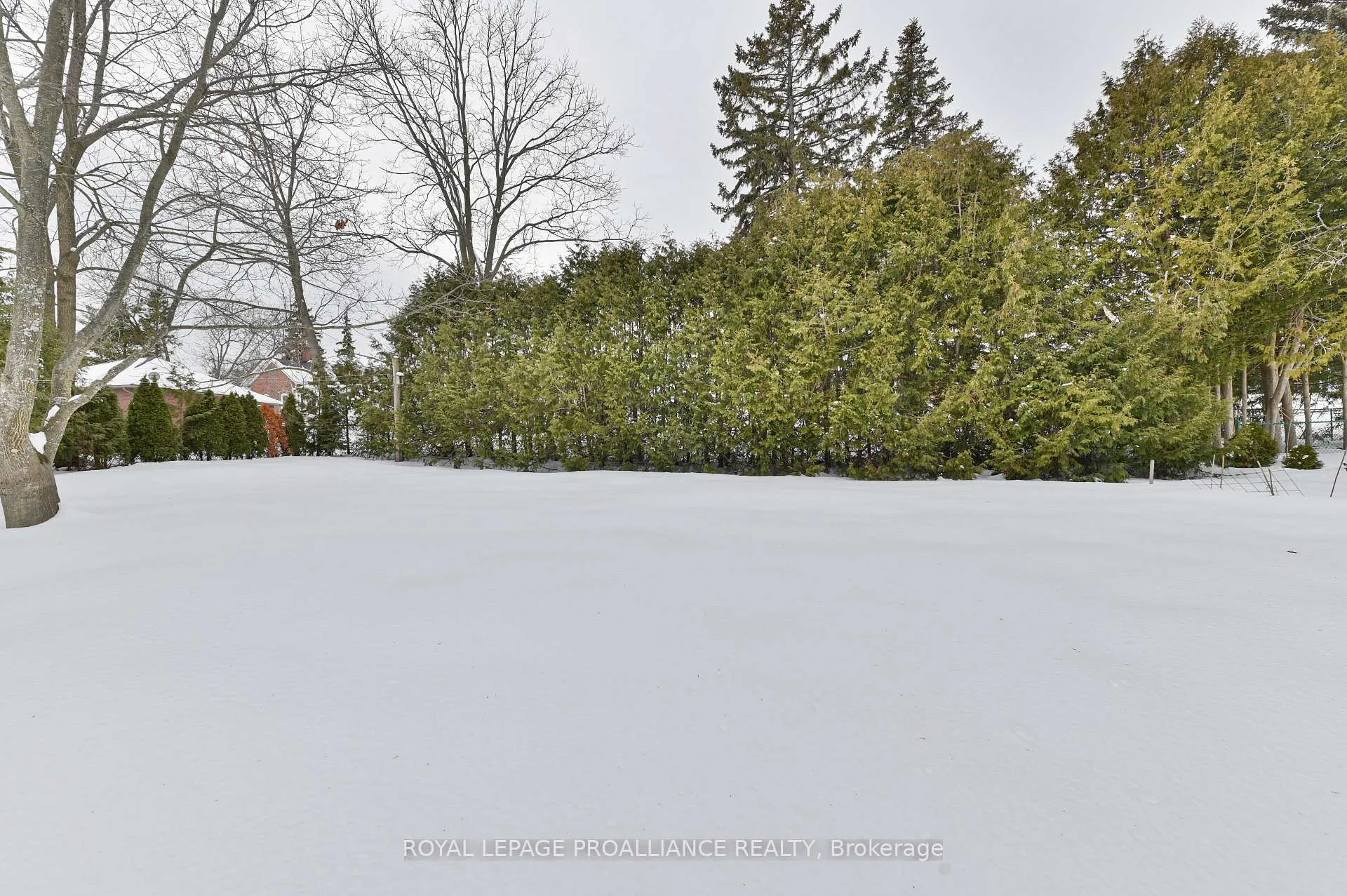 Photo 24 of 8 Cheer Drive, Brighton, Brighton (Town) — HOMEH