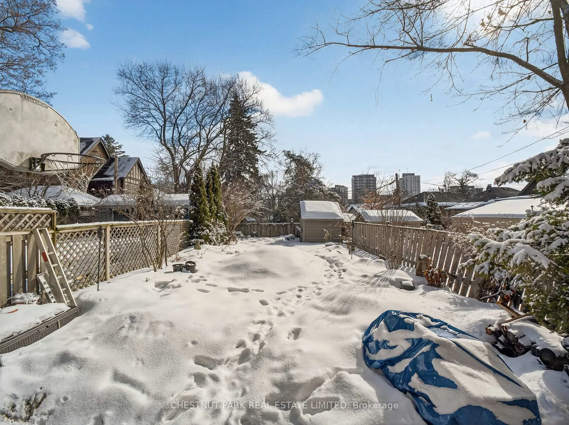 Photo 40 of 101 Manor Road E, Toronto, Mount Pleasant West — HOMEH