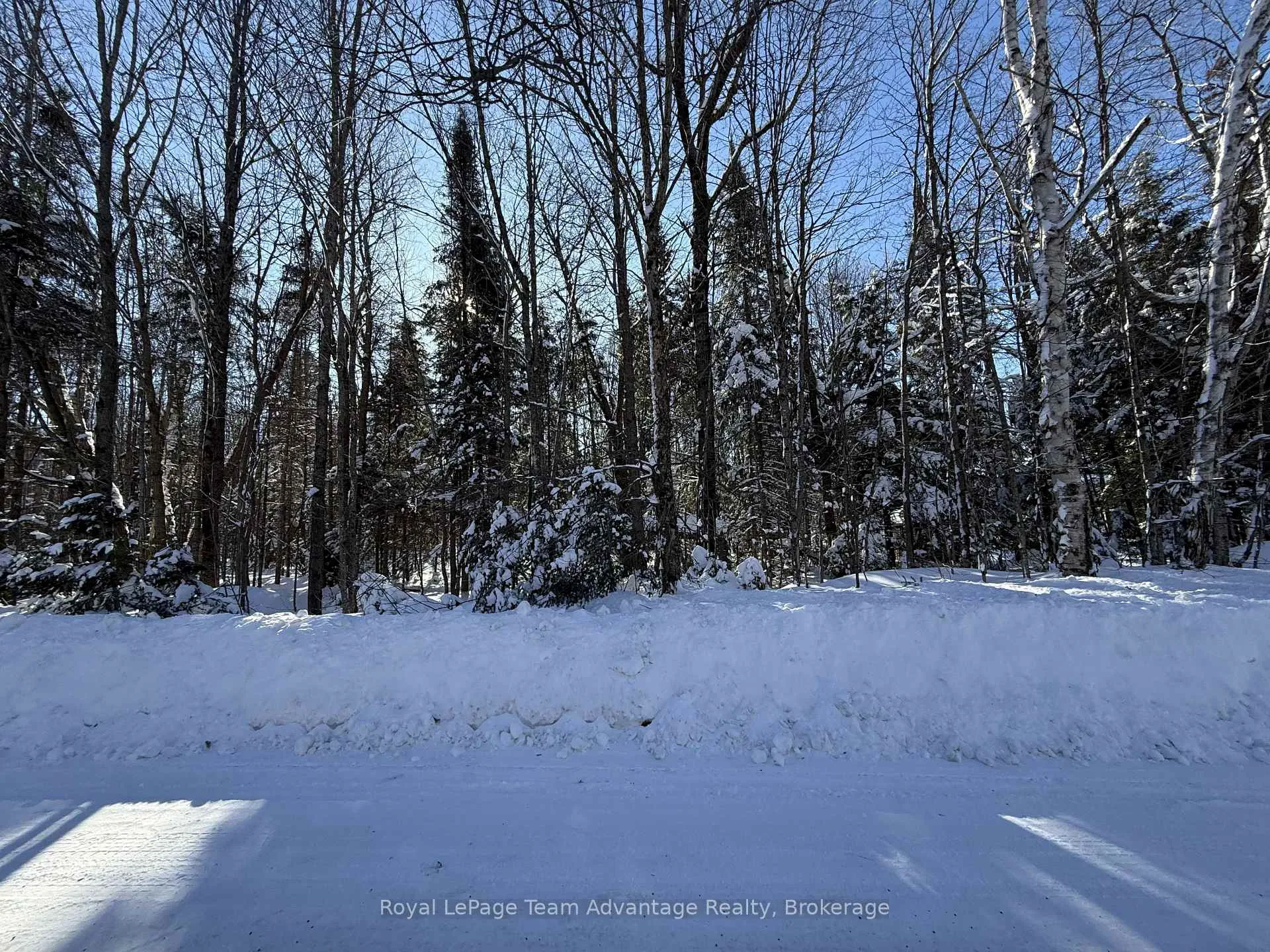 Photo 3 of Lakeview Drive E, Ryerson — HOMEH