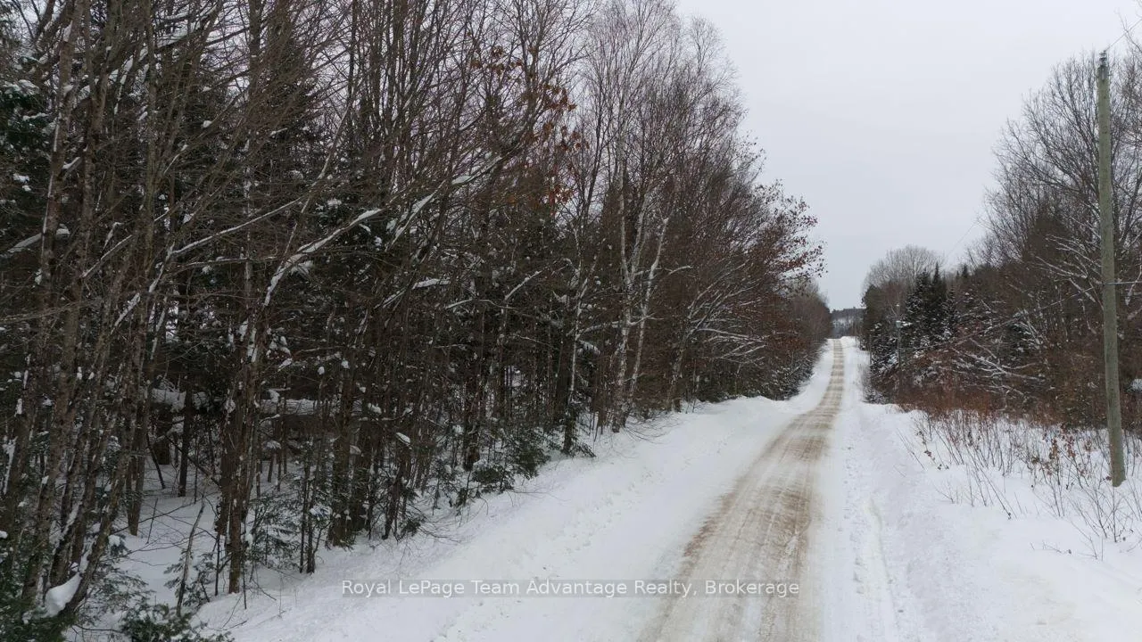 Photo 8 of Lakeview Drive E, Ryerson — HOMEH