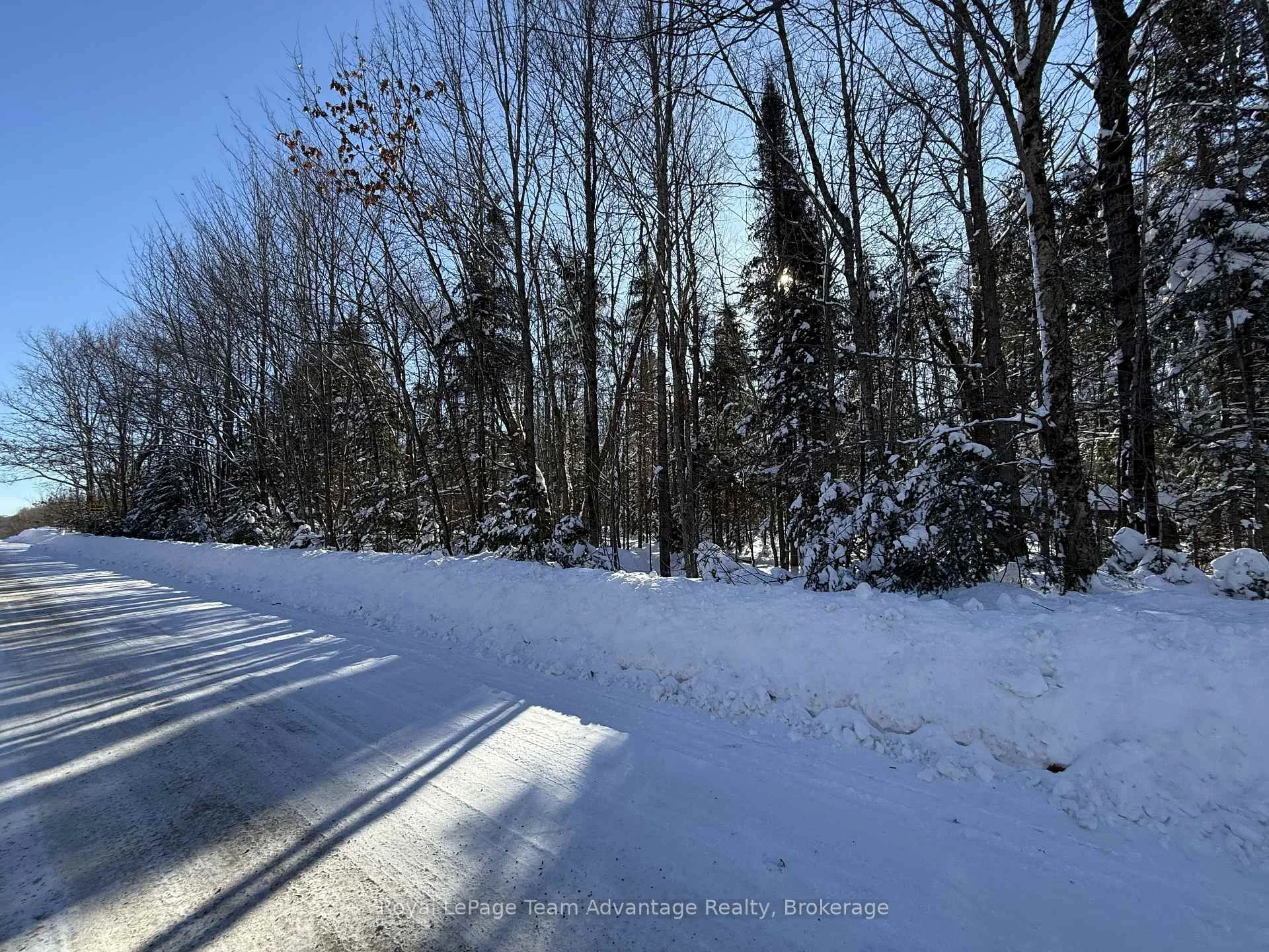 Photo 9 of Lakeview Drive E, Ryerson — HOMEH