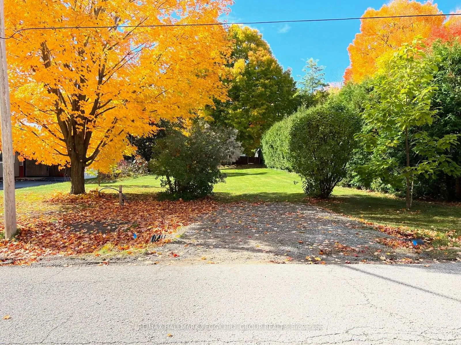 Photo 6 of 318 Palmer Street, Tay, Waubaushene — HOMEH