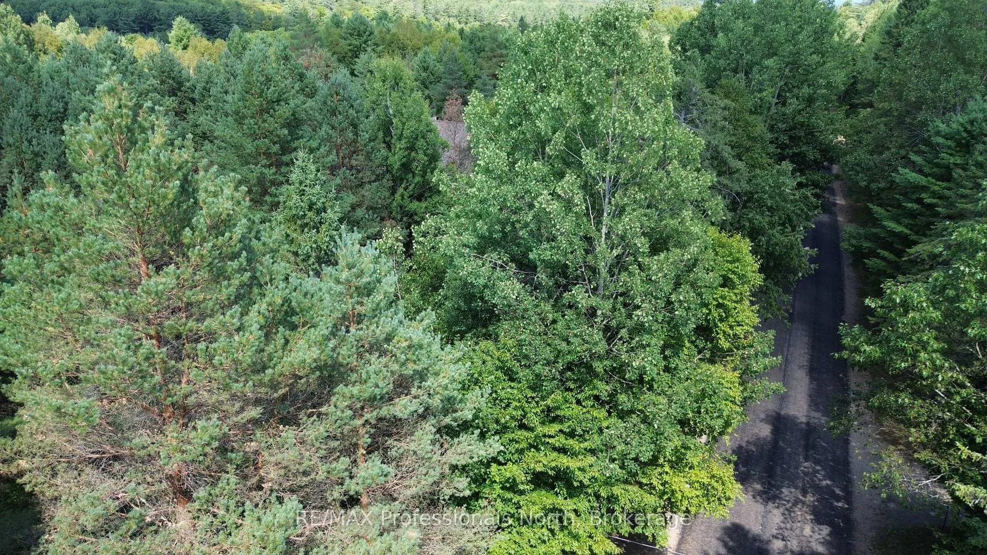 Photo 5 of Barry Line Road, Algonquin Highlands, Stanhope — HOMEH
