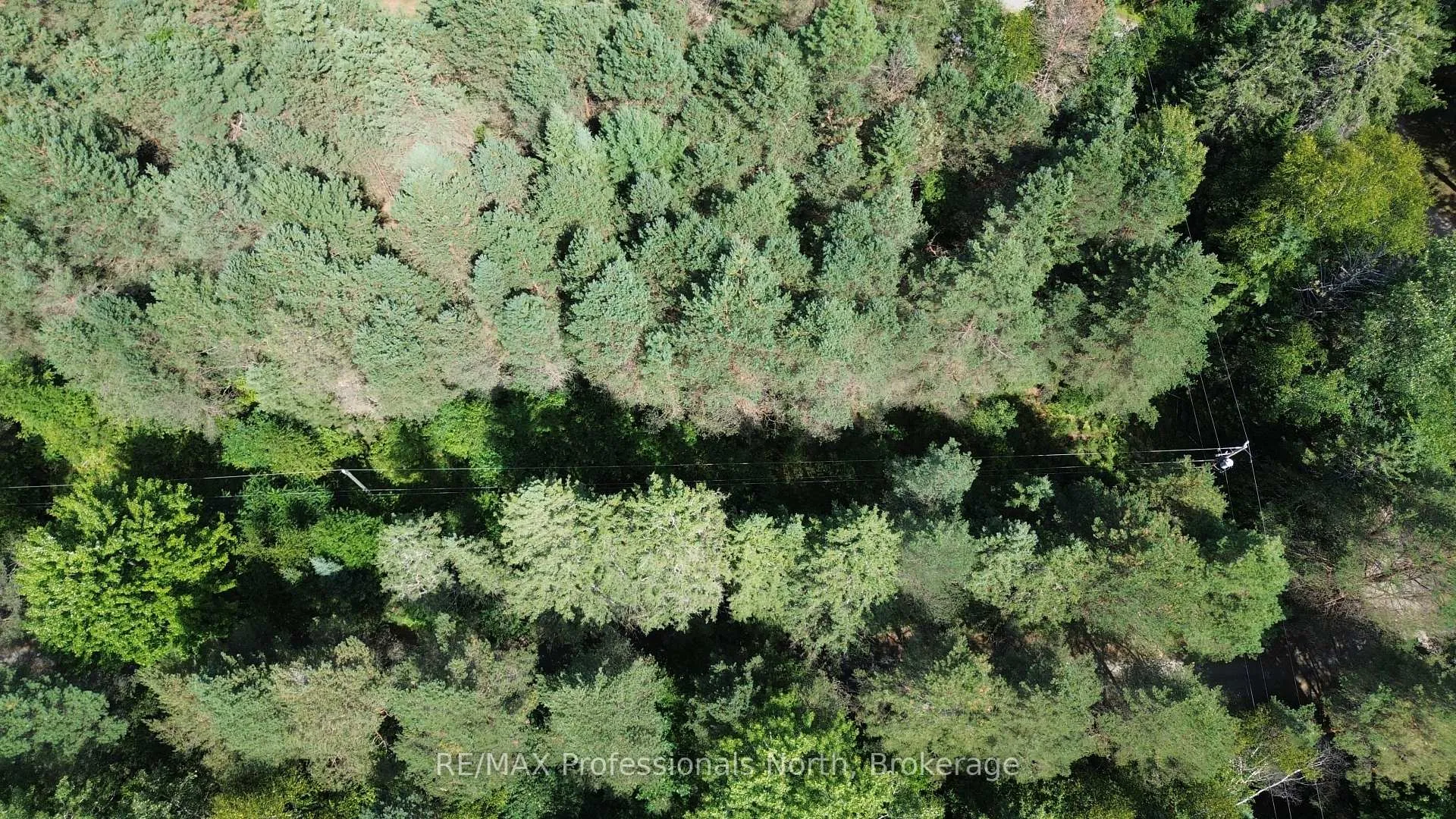 Photo 12 of Barry Line Road, Algonquin Highlands, Stanhope — HOMEH