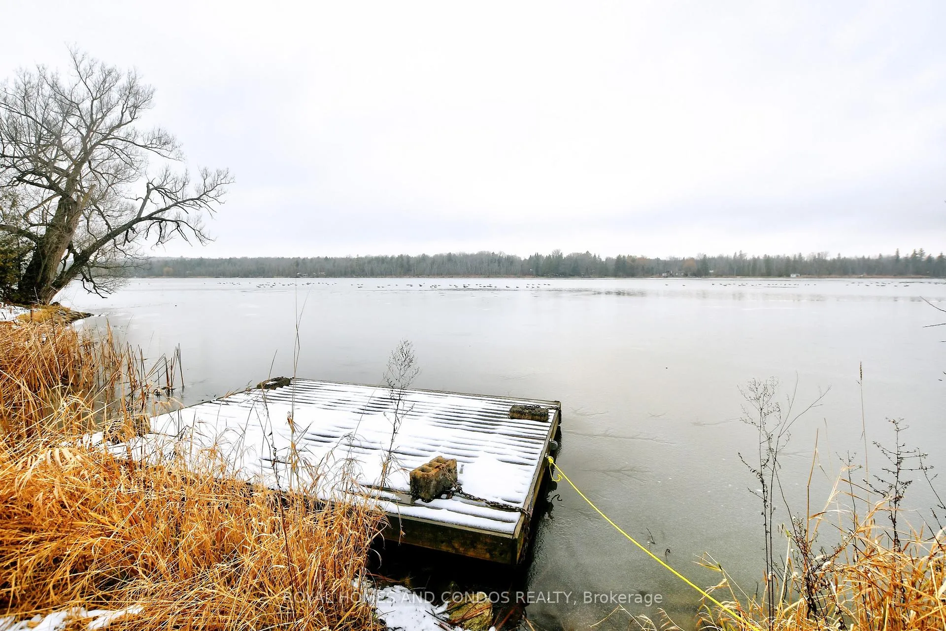 Photo 47 of 146 Pilkey Road, Uxbridge, Rural Uxbridge — HOMEH