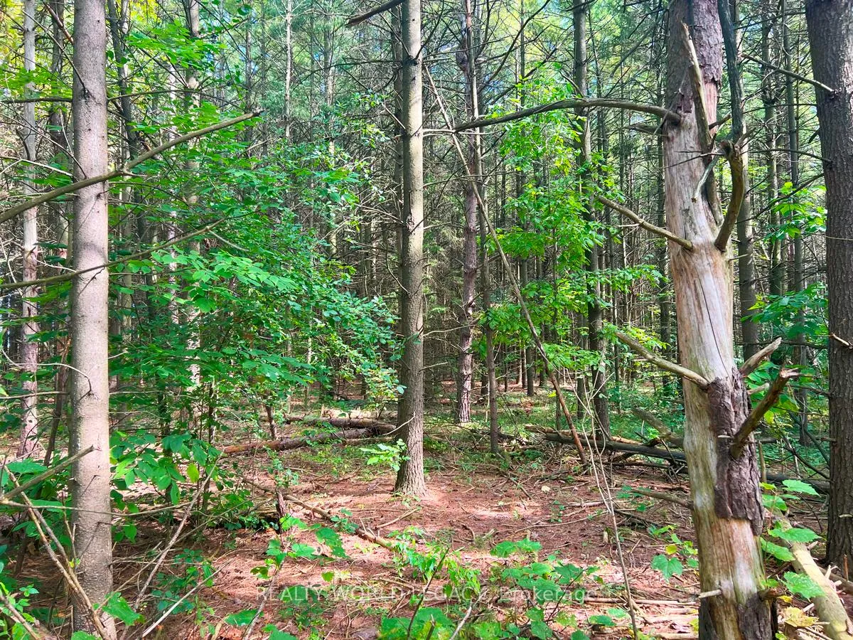 Photo 2 of Mountsberg Road, Hamilton, Rural Flamborough — HOMEH