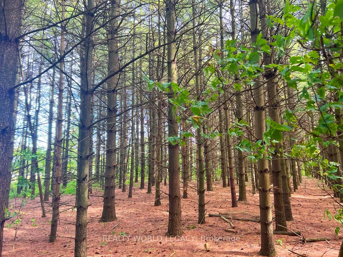 Photo 3 of Mountsberg Road, Hamilton, Rural Flamborough — HOMEH