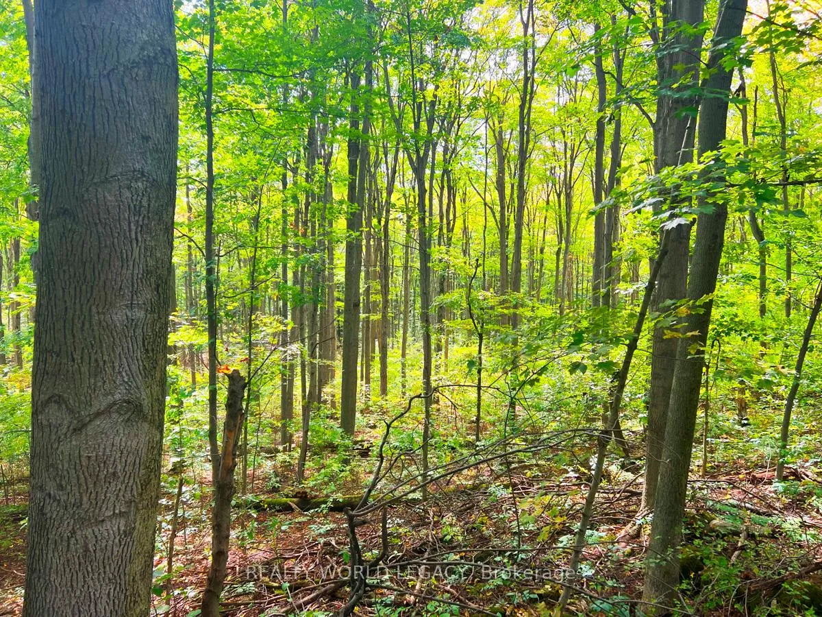 Photo 5 of Mountsberg Road, Hamilton, Rural Flamborough — HOMEH