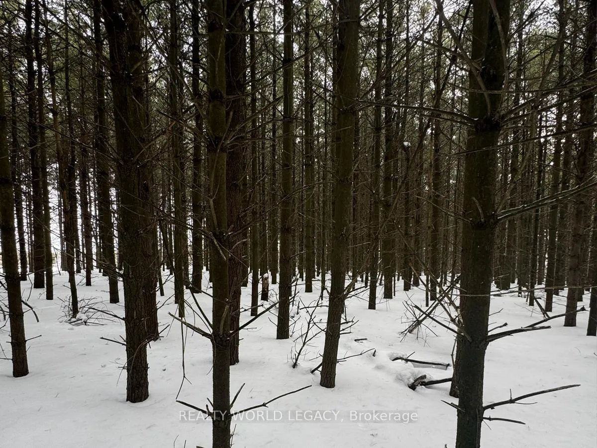 Photo 12 of Mountsberg Road, Hamilton, Rural Flamborough — HOMEH