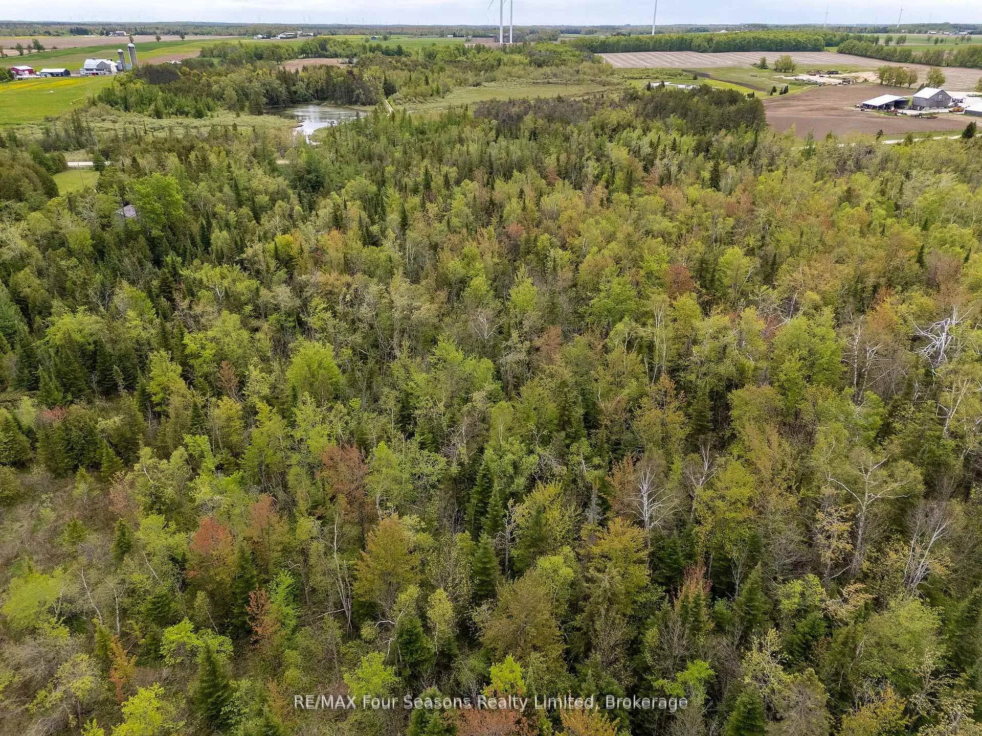 Photo 6 of 348305 4th Concession B, Grey Highlands — HOMEH