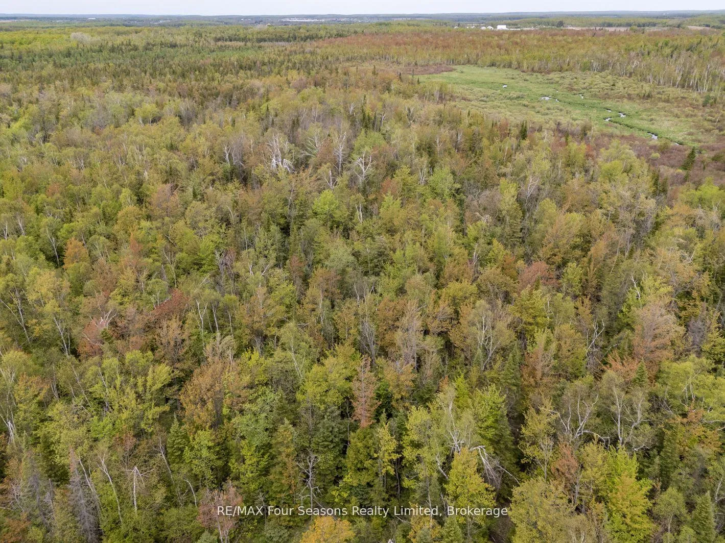 Photo 9 of 348305 4th Concession B, Grey Highlands — HOMEH