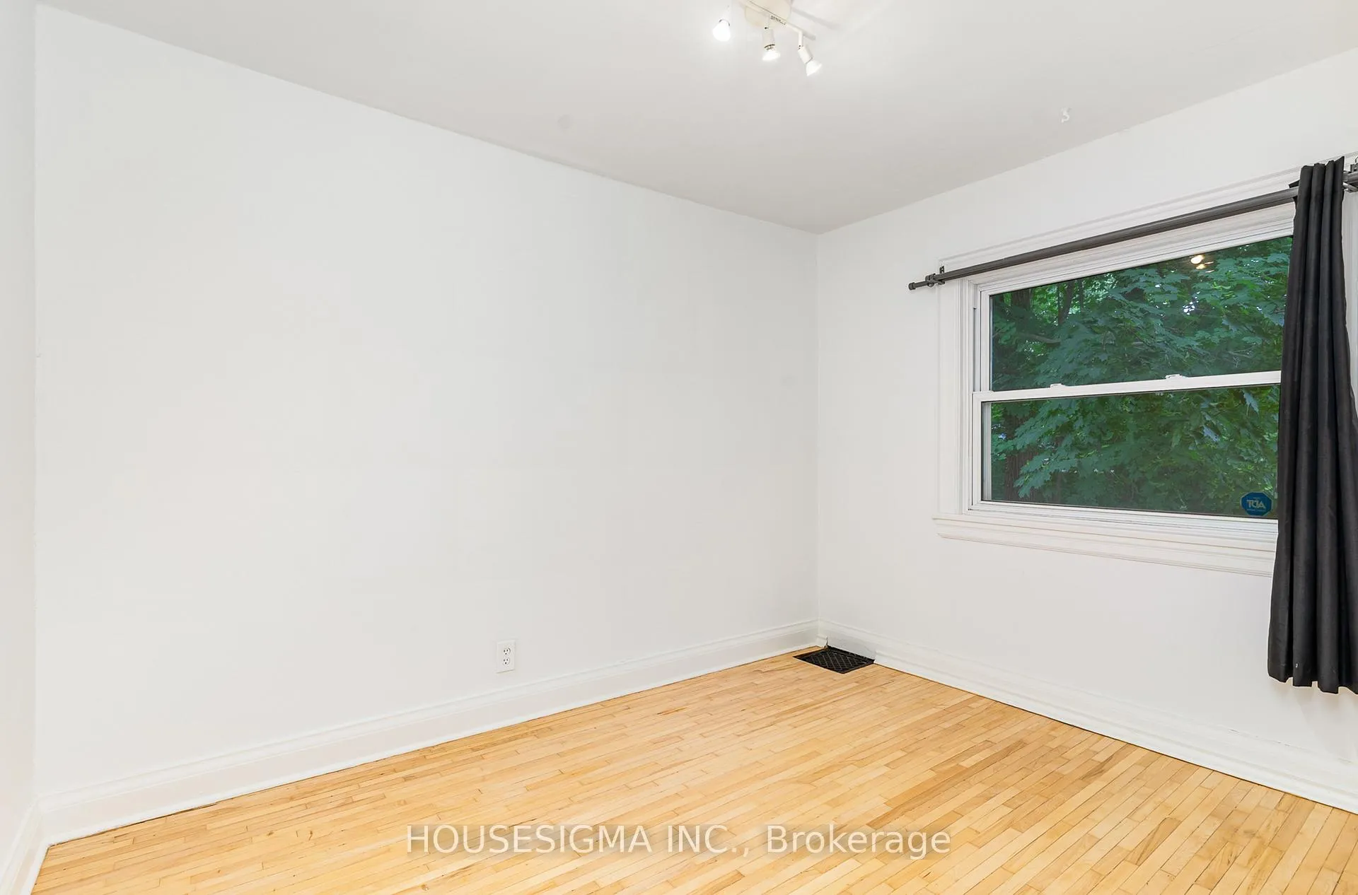 Photo 8 of 225 Bowman Street, Hamilton, Ainslie Wood — HOMEH